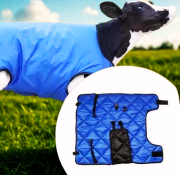 JESMARY - Áo giữ ấm cho bò con – Giải pháp bảo vệ sức khỏe vật nuôi trong mùa lạnh